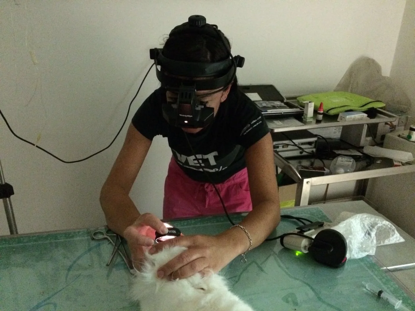 La Dott.ssa Angela Parola durante un esame oftalmologico veterinario